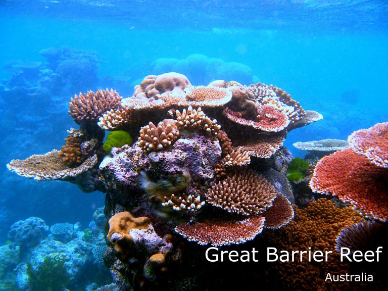 Great-Barrier-Reef