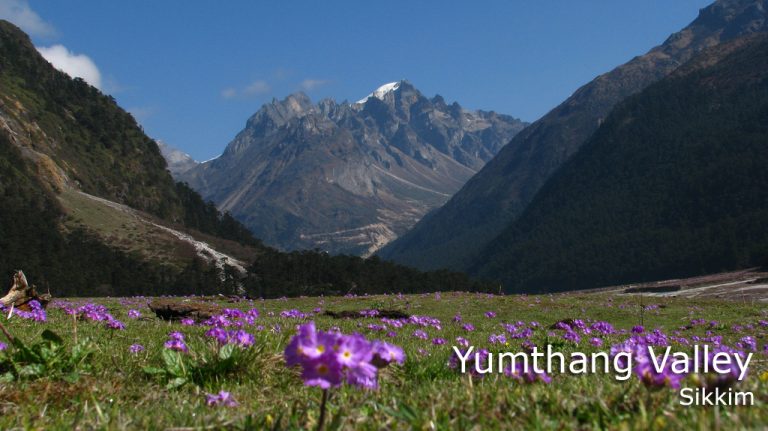 Yumthang-Valley-in-North-Sikkim